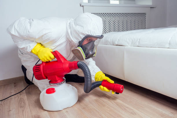 Best Exterminator Services  in Bunkie, LA