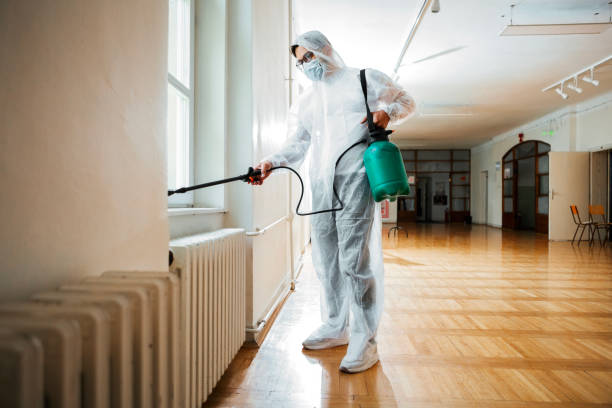 Best Flea Control Services  in Bunkie, LA