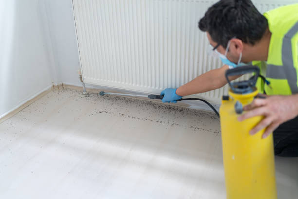 Professional Pest Control in Bunkie, LA
